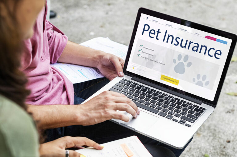 5 important things to know before buying pet insurance